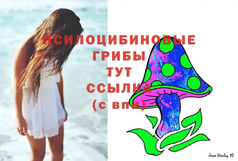 Галлюциногенные грибы Magic Shrooms  Агидель 